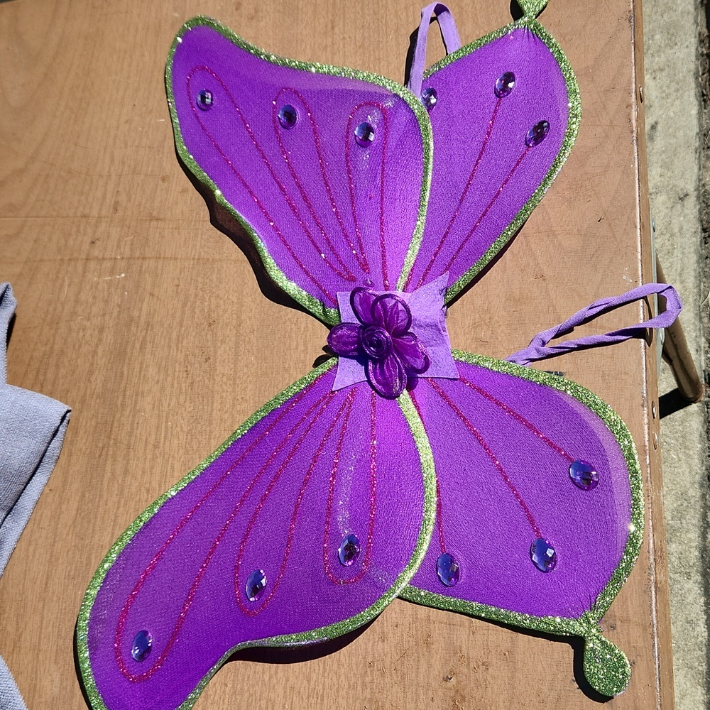 Fairy wings